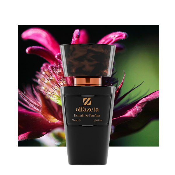 Nr 246 inspiration - Bergamotte, Ananas, Jasmin, Muskat, Sandelholz