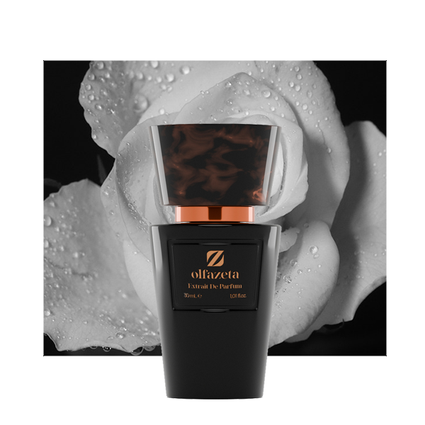 Nr 30 insp. by Black XS