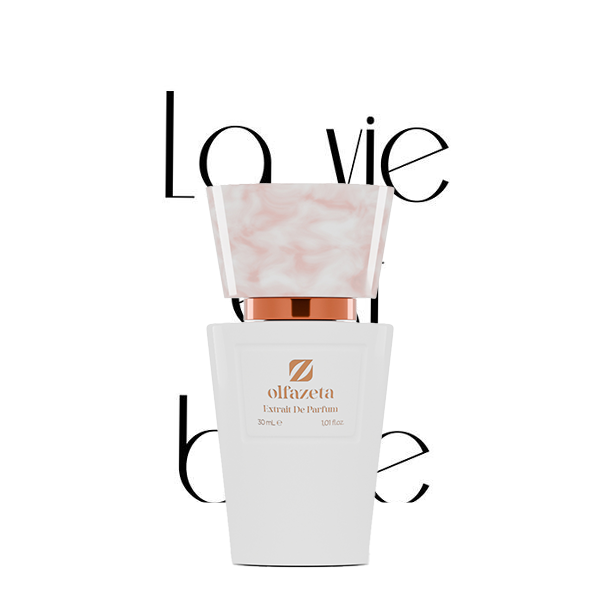 Inspecteur n° 42 par La Vie Est Belle Lancôme