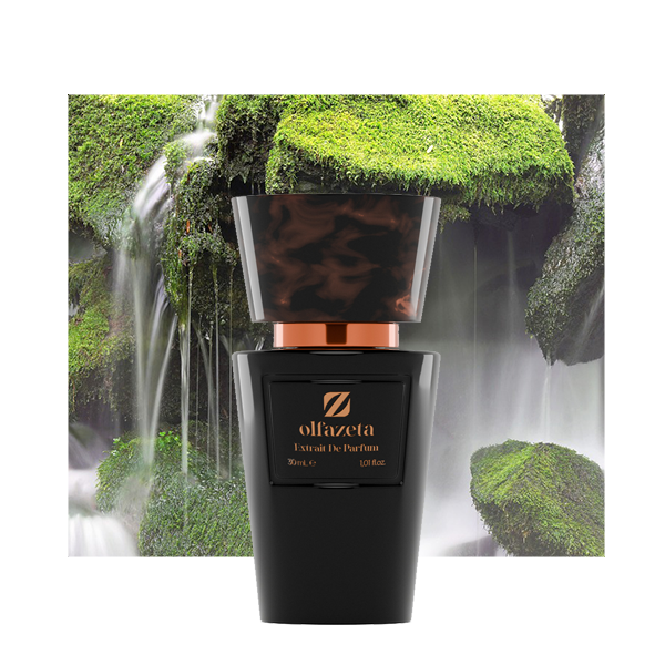 Nr 48 insp. by Chanel Allure Men