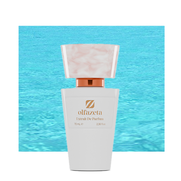 Inspecteur n° 11 par DG Light Blue - Femme