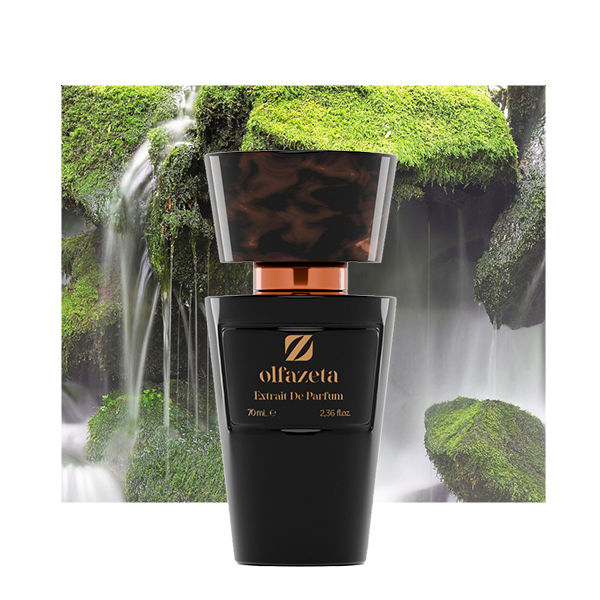 Nr 48 insp. by Chanel Allure Men