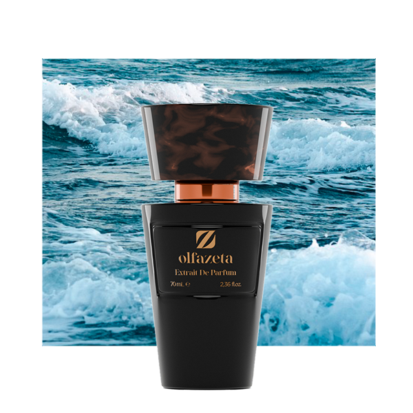 Nr 84 insp. by Dylan Blue by Versace
