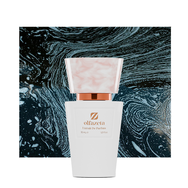 Inspecteur n° 93 par Cr**d Aventus pour elle